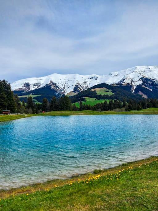 Logement A Megeve Avec Jardin 外观 照片