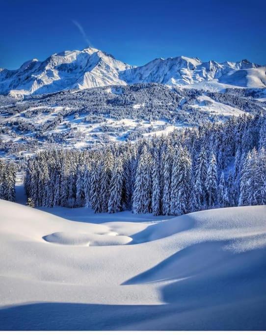 Logement A Megeve Avec Jardin 外观 照片