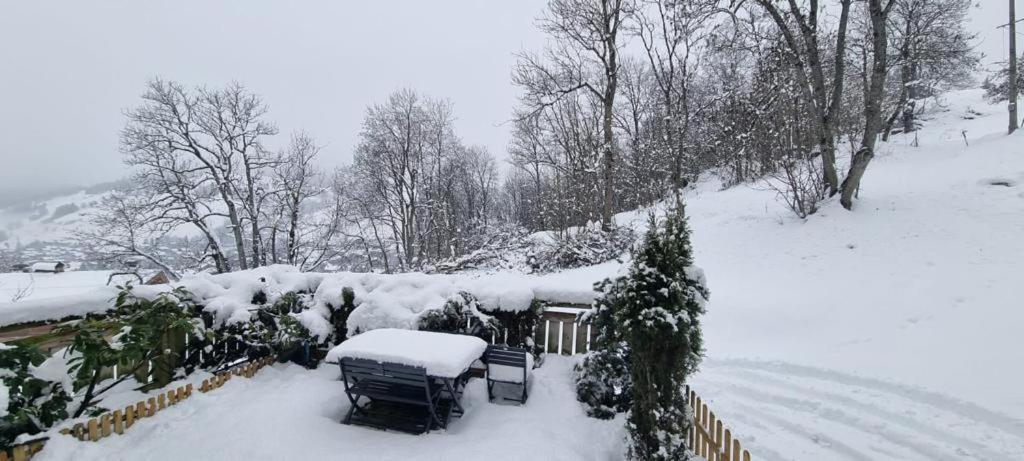 Logement A Megeve Avec Jardin 外观 照片